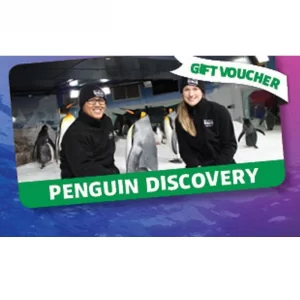 Kelly Tarltons Gift Cards 3.jpg 1