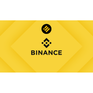 Binance Gift Card (BUSD) KEY GLOBAL – USD (Email Delivery)